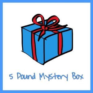 5lb Mystery Reseller Clothing Bundle Inventory Lot Box Set Clothing All Sizes
